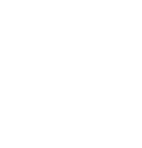 Hallitus kokoontui 12 kertaa